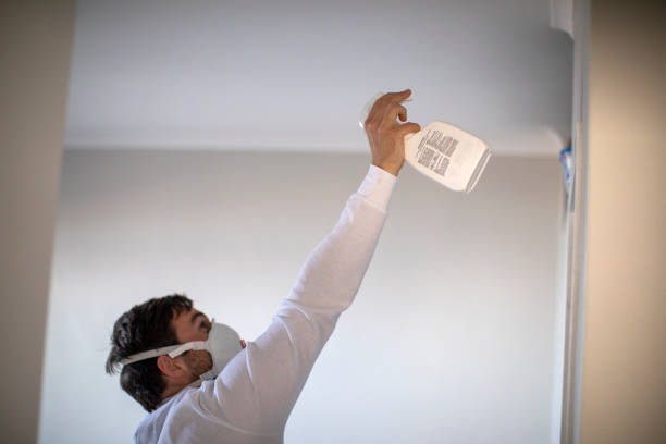 Best Residential Mold Removal  in North Laurel, MD